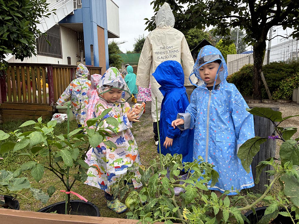 雨の日散歩