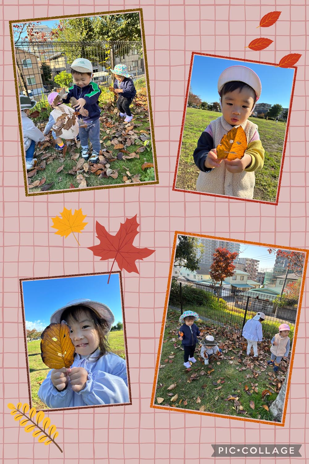 秋を見つけたよ